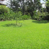 Отель Hawaii Belt Coffee Garden, фото 40