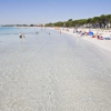 Отель Platja de Muro 158700, фото 24