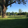 Отель Csörgő Vendégházak, фото 15