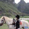 Отель the thousand and one tourism&homestay（yangshuo yulonghe hotel ）, фото 18