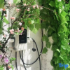 Отель Huajianji Courtyard Home stay, фото 7