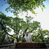Отель Pousada De Sao Tiago, фото 25