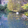 Отель Weir Cottage on the Mill Pond, фото 12