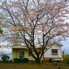 Отель Sakura Beach Garden, фото 13