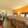 Отель Stamford Inn, фото 46