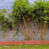 Отель OYO 2835 Sakinah Family Residence, фото 11