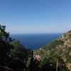 Отель Agriturismo Orrido di Pino, фото 22