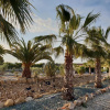 Отель Finca San Mateo, фото 14