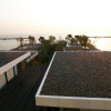 Отель Cher Resort, фото 11