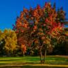 Отель Landhaus am Golfpark, фото 17