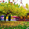 Отель Dipla Sto Potami (Next To The River), фото 14