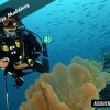 Отель Aquaventure Manta Lodge - Scuba Divers, фото 18