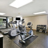 Отель Hampton Inn Detroit/Madison Heights/South Troy, фото 27