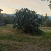 Отель La casa di Bacco - Etna Country House - Affitto breve, фото 3