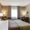 Отель Comfort Inn Edinburg, фото 13