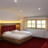 Отель Donauhotel Lettnerhof, фото 3