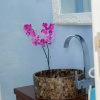 Отель Protaras Seashore Villa 2, фото 18