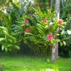 Отель Studio In Schoelcher With Enclosed Garden And Wifi, фото 10