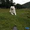 Отель Jixin Homestay (Kangding Bus Station), фото 8