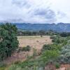 Отель Tulbagh Mountain Bungalow, фото 6