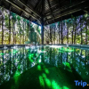 Отель Dalian Lvshun Tianmu Hot Spring Resort, фото 34