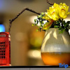 Отель Home Inn Plus (Beijing Songjiazhuang Metro Station), фото 16