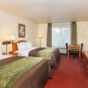 Отель Comfort Inn, фото 9