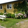Отель Blossom Cottage, фото 7