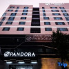 Отель Pandora Hotel, фото 17