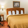 Отель Quality Inn South, фото 7