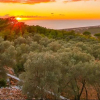 Отель Villa Almon, фото 18