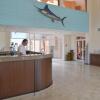 Отель Sea of Cortez Beach Club, фото 22