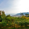 Отель Sunplace, фото 12