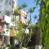 Отель Dali Suites - Adults Only, фото 1