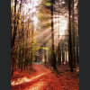 Отель Enjoy Durbuy 3, фото 1