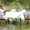 Отель Mahoora Tented Safari Camp - Wilpattu, фото 16