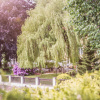 Отель Dresdner Hof, фото 10