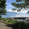 Отель Charming 1 Bed Apartment In Vevey, фото 3