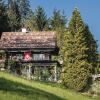 Отель Stunning Home in Sarnen bei Luzern With 5 Bedrooms and Internet, фото 35