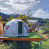 Отель Phu Fa Sai Homestay, фото 7
