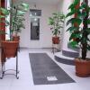 Отель Hostel Miorita в Бухаресте
