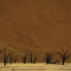 Отель Kwessi Dunes, фото 17