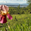 Отель Il Dovese B&B, фото 12
