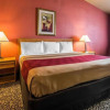 Отель Econo Lodge, фото 6