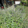 Отель B&B La Cascina Nel Frutteto, фото 14