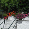 Отель Villa Yiannis (Adult Friendly), фото 5