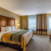 Отель Comfort Inn, фото 6