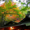 Отель Tsukihitei Ryokan, фото 12