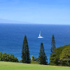 Отель Kapalua Ridge Villas by KBM, фото 22