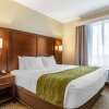 Отель Comfort Suites San Antonio Ft. Sam Houston/SAMMC Area, фото 7